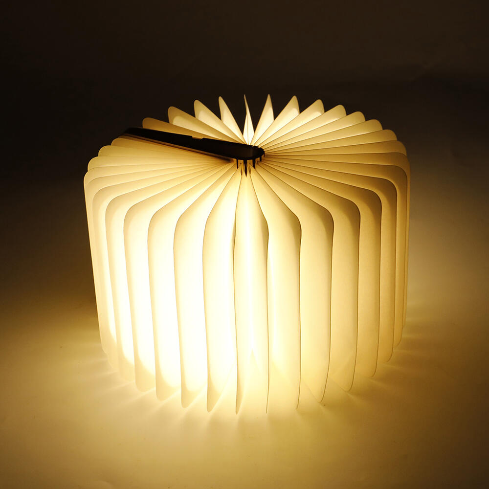 BOOKLIGHT